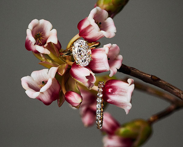 Find Your Sparkliest Stone