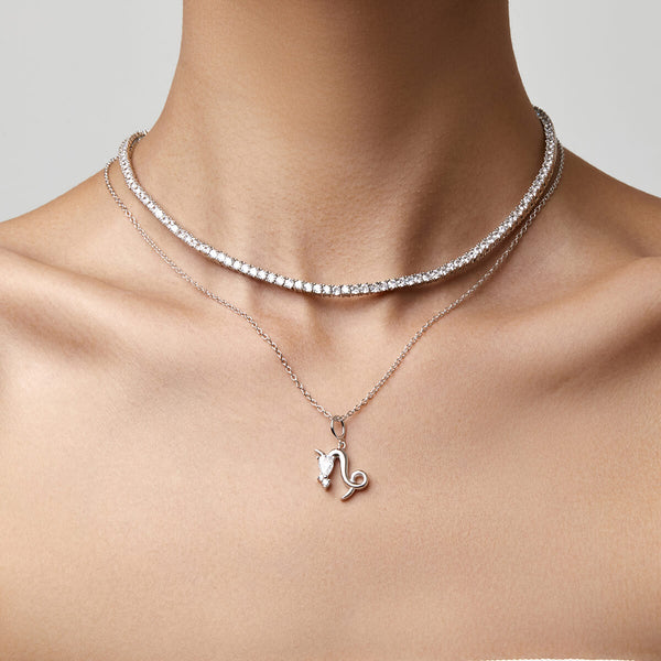 Capricorn Necklace