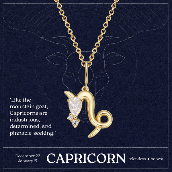 Capricorn Necklace